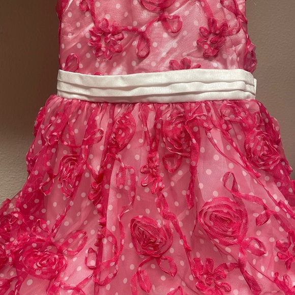 Blueberi Boulevard Girls Dress💕Pink roses with a white underskirt💐EUC🌹Size 6X - Picture 2 of 7